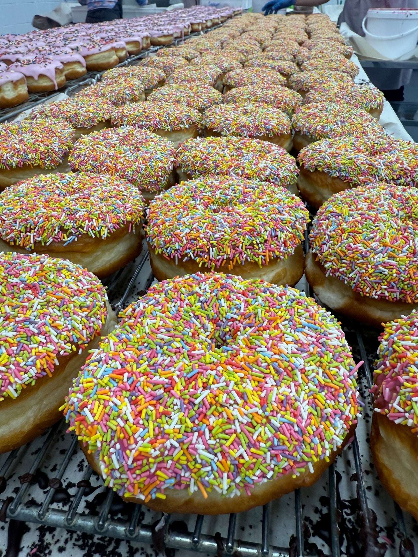 Box of 6 Sprinkles Ring Donuts