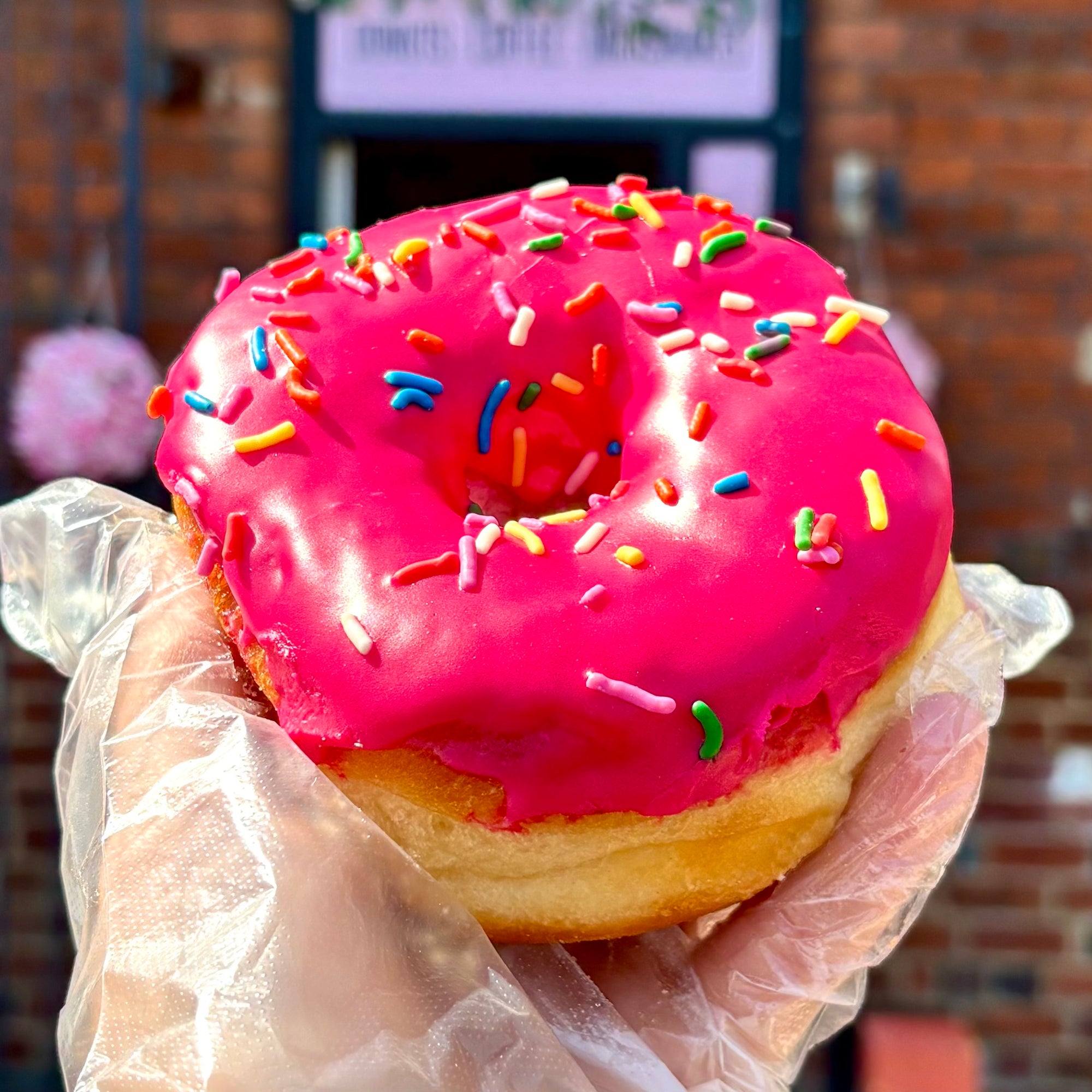 Homer Sprinkles Donut  (Vegan)