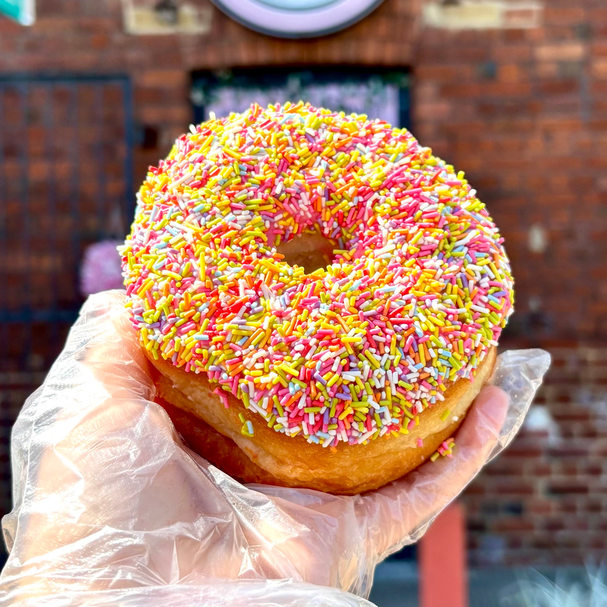 Sprinkles Ring Donut (Vegan)