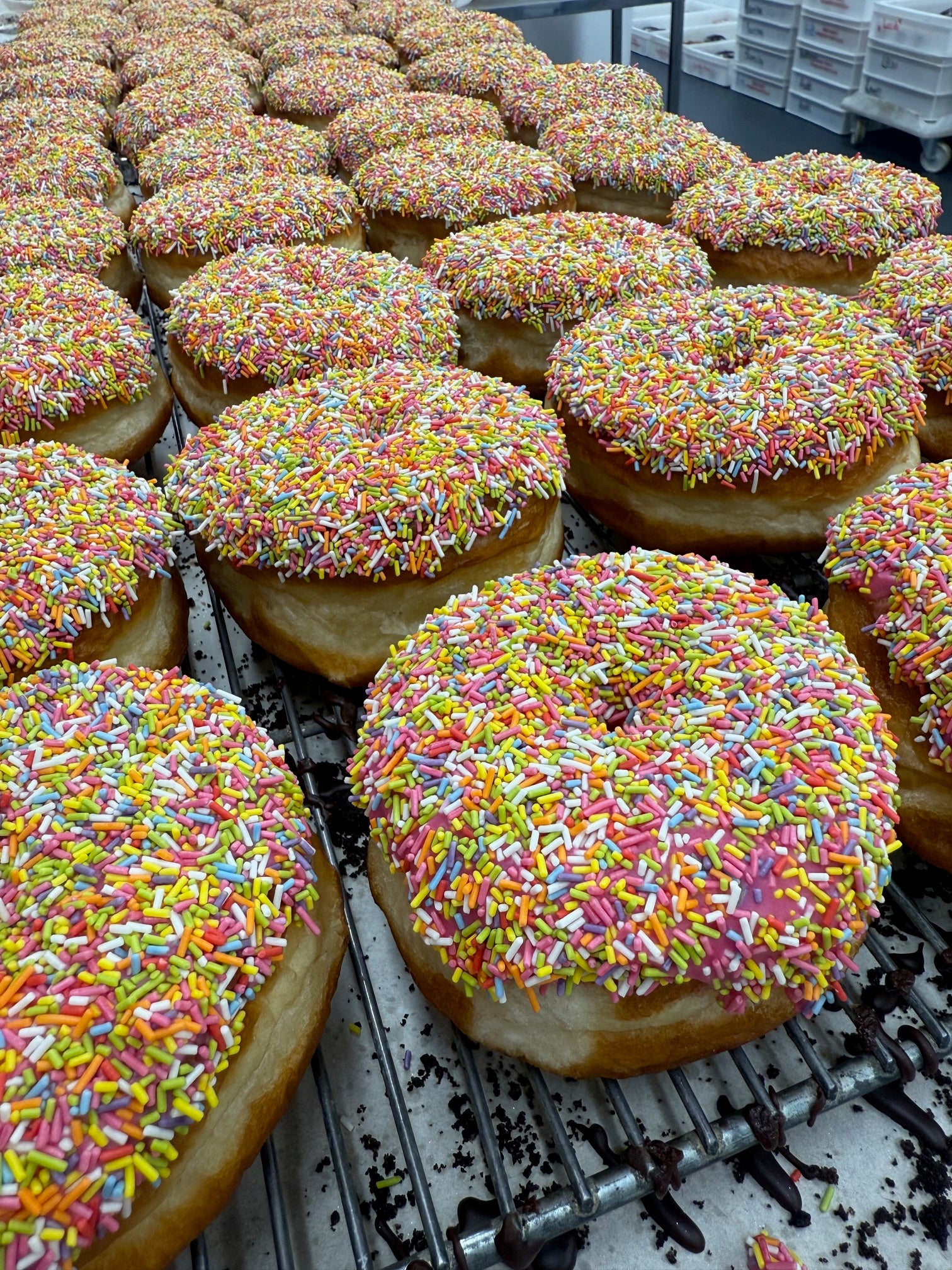 Sprinkles Ring Donut