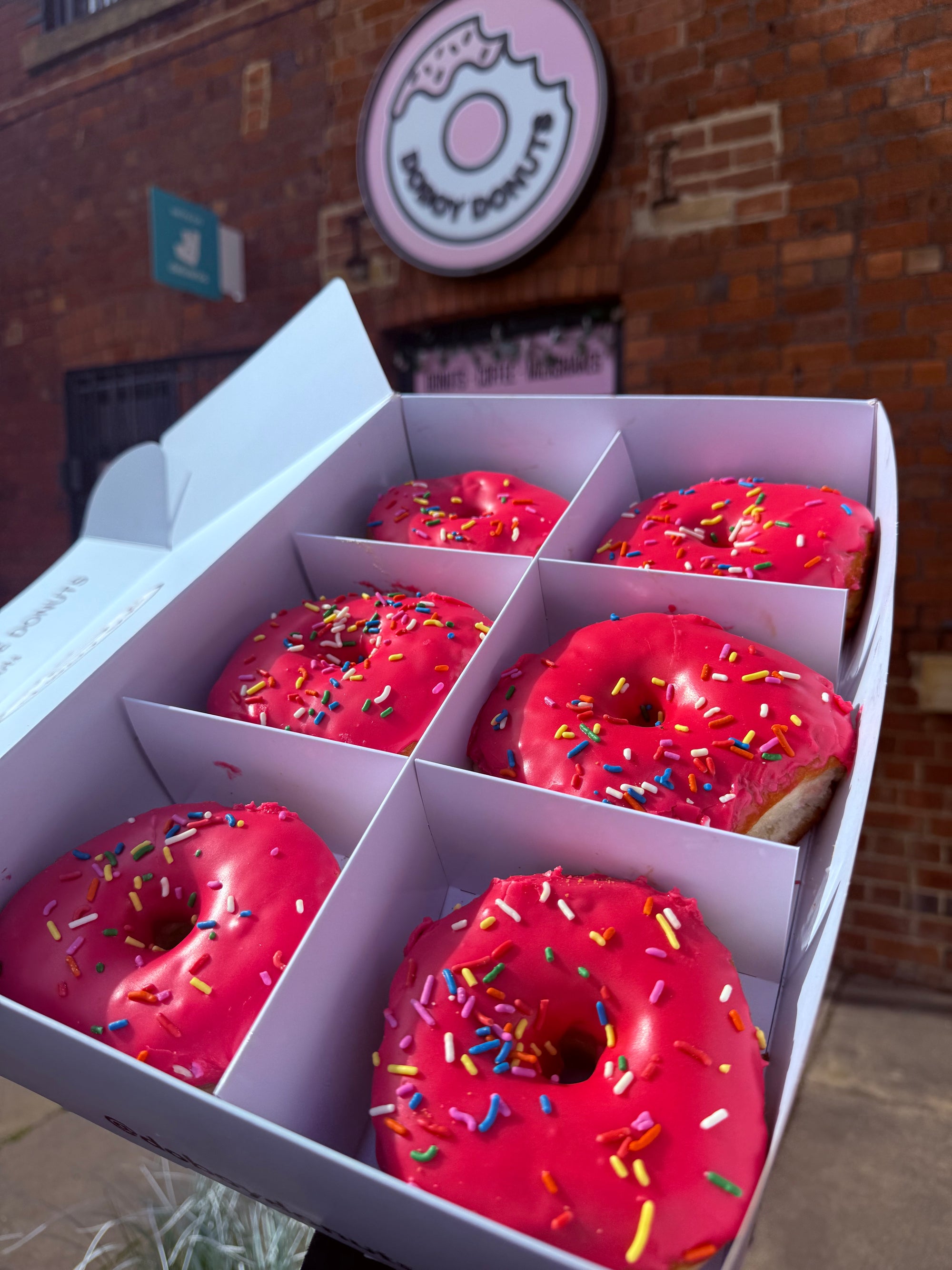 Homer Sprinkles Donut  (Vegan)